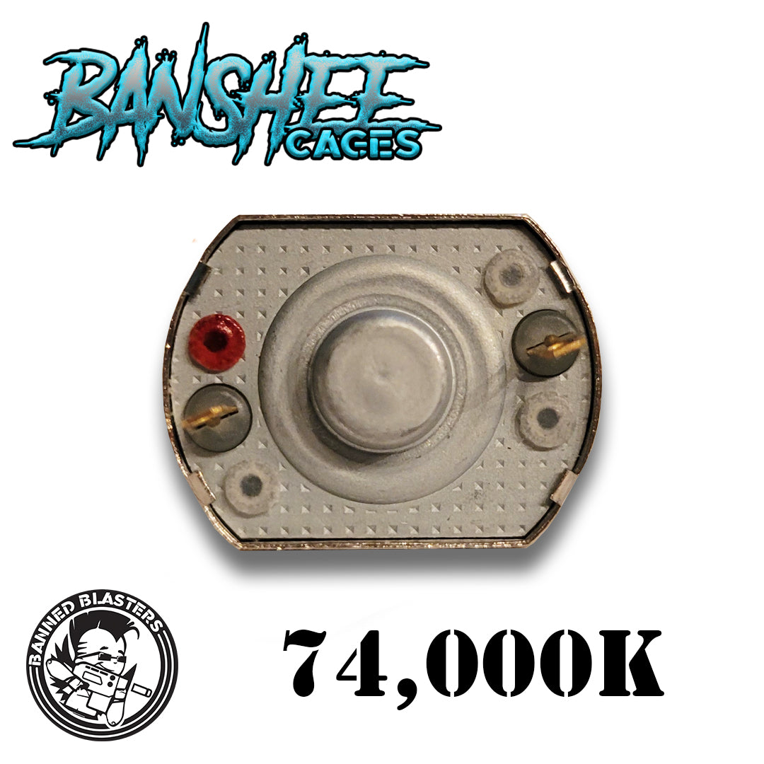 Banned Blasters (74) 3s Motor (Pair)